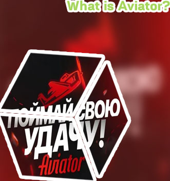 Aviator fair